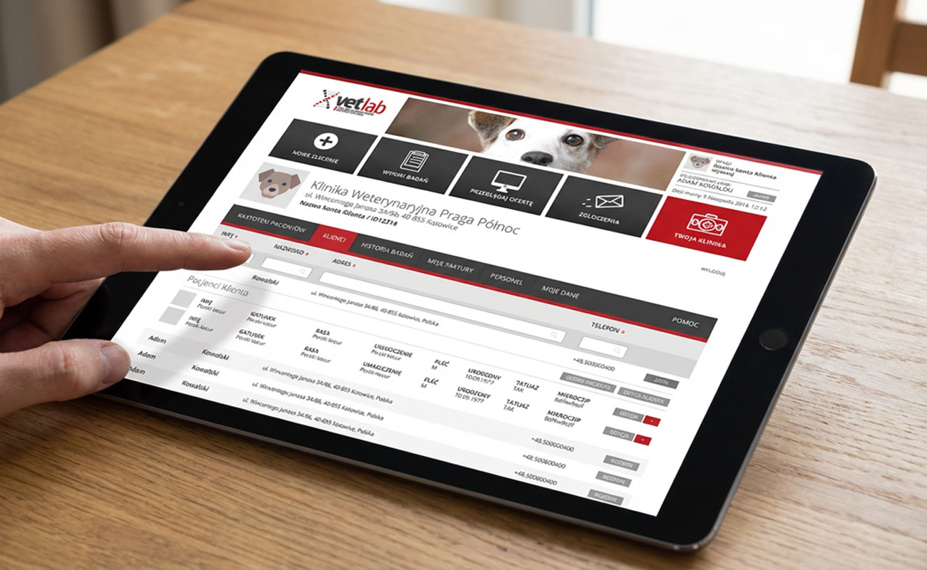 budowa aplikacji katowice