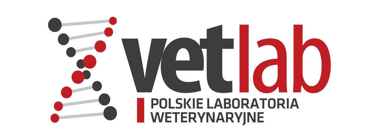 logotyp katowice agencja