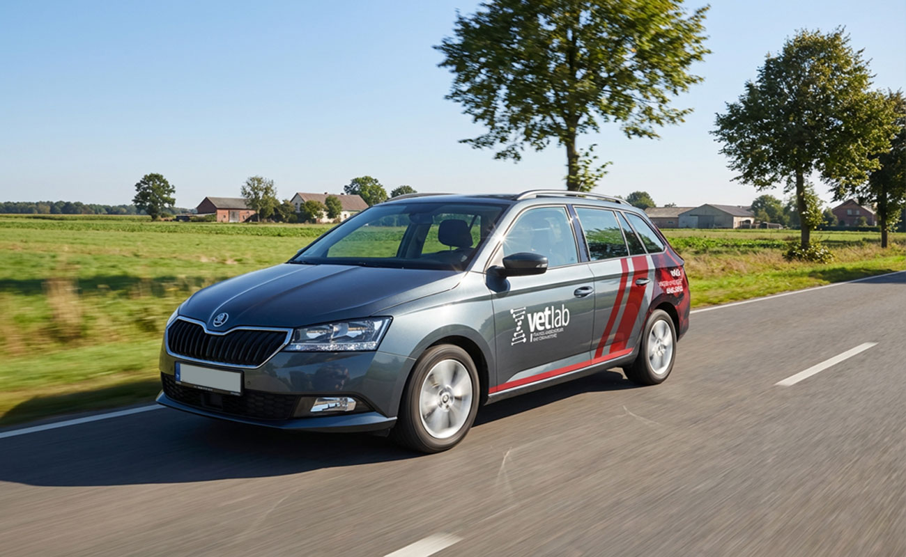 samochody firmowe reklama