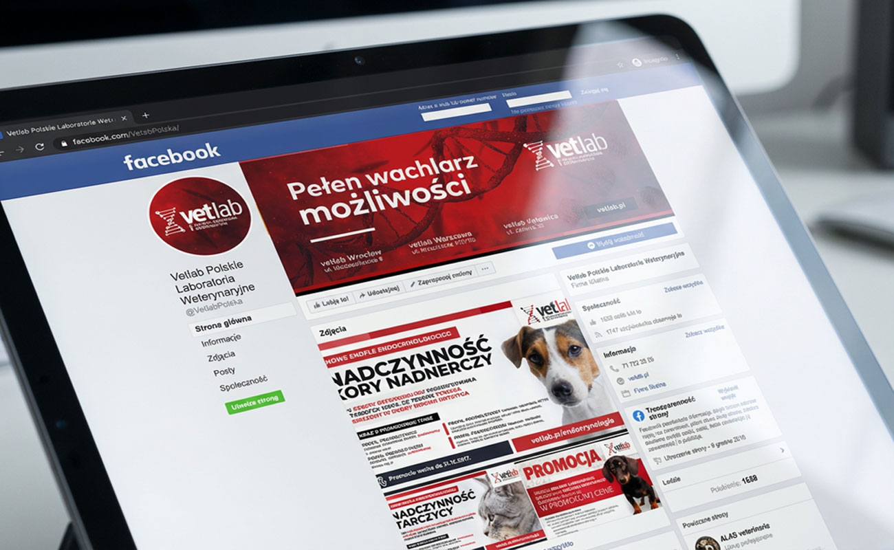 prowadzenie social media