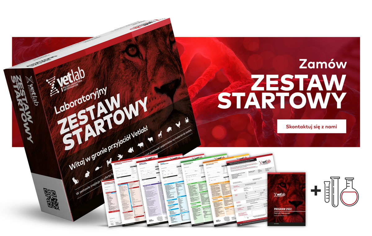 pudełka kaszerowane drukarnia