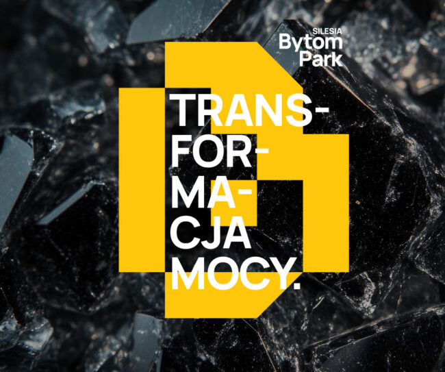Silesia Bytom Park Logo